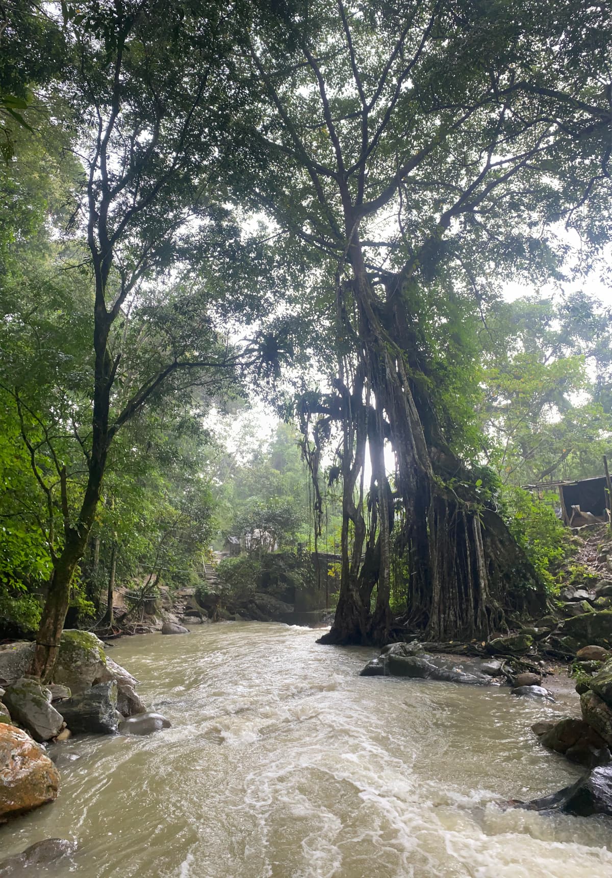 Colombia — 9