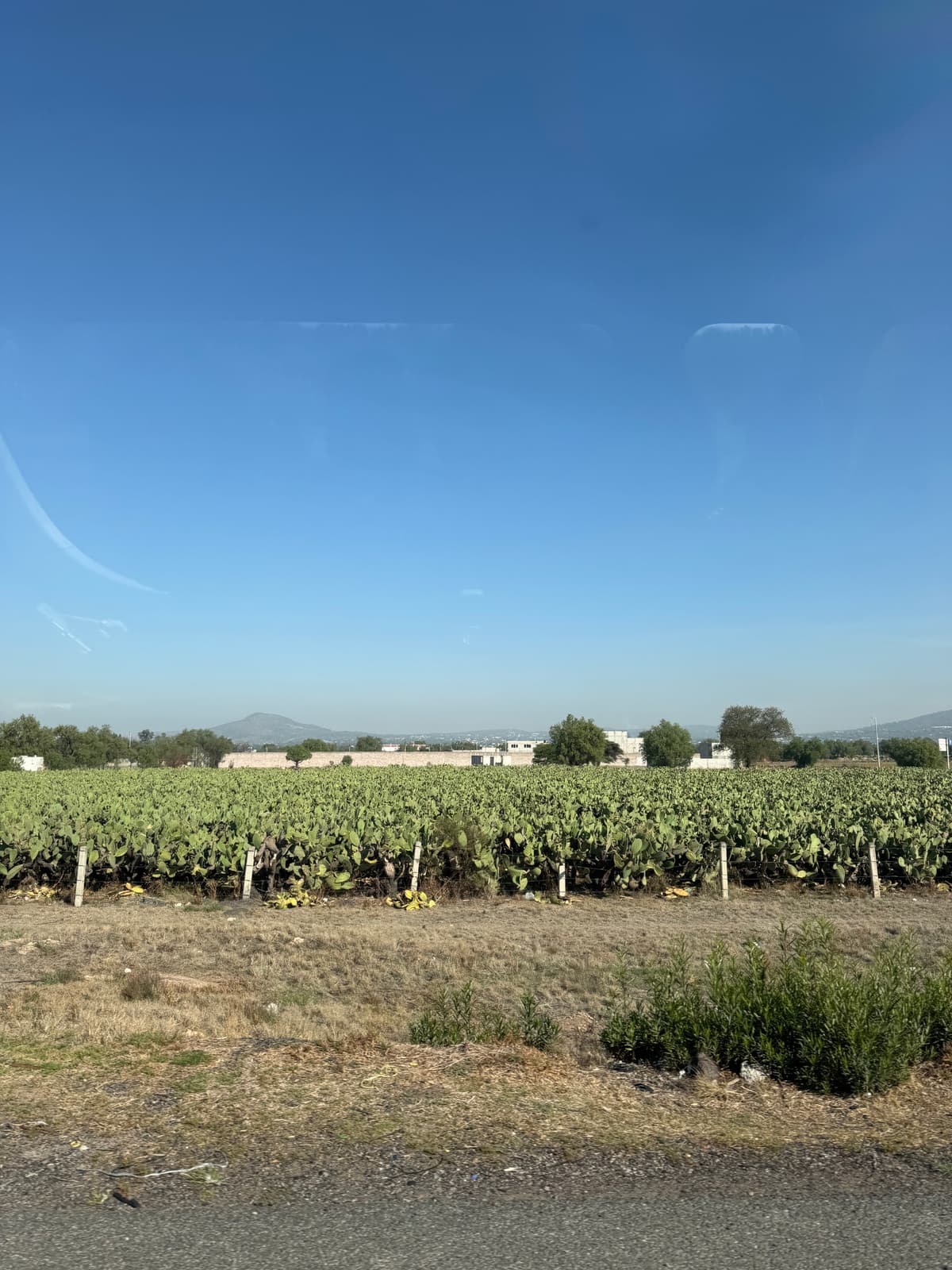 Mexico — 11