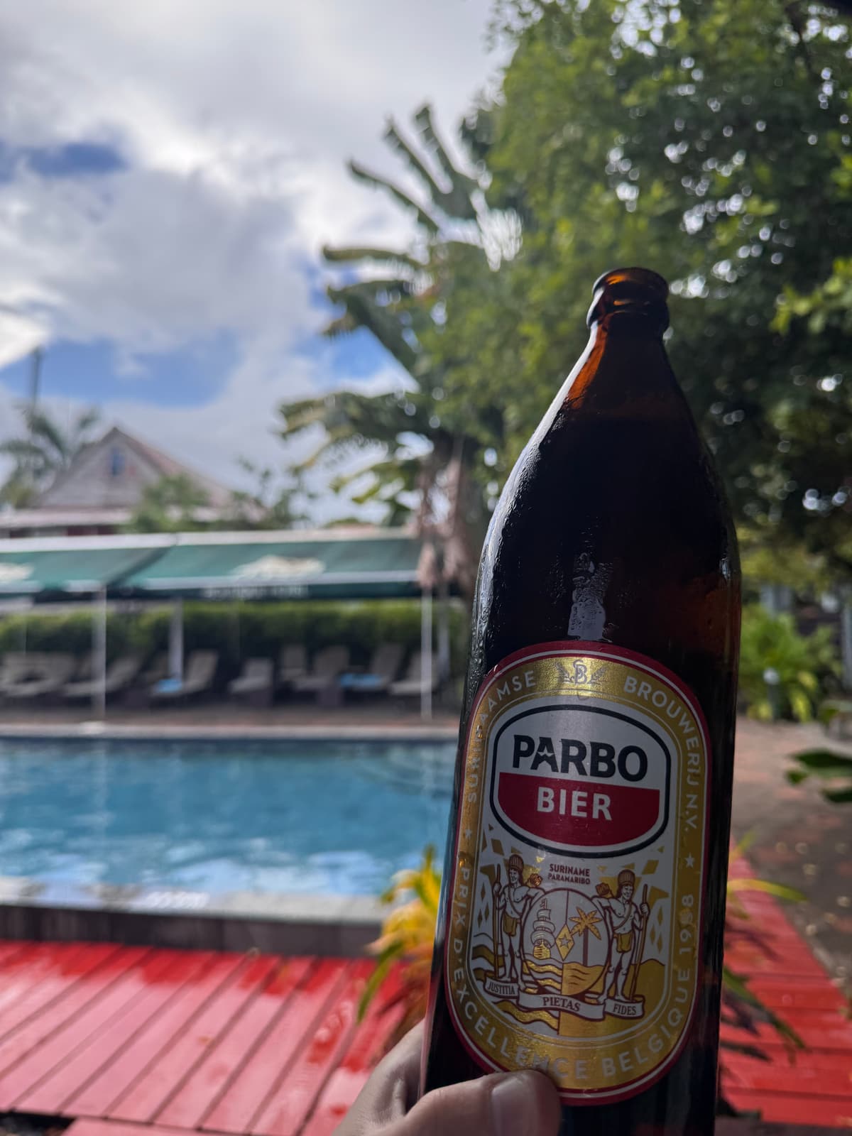 Suriname — 11